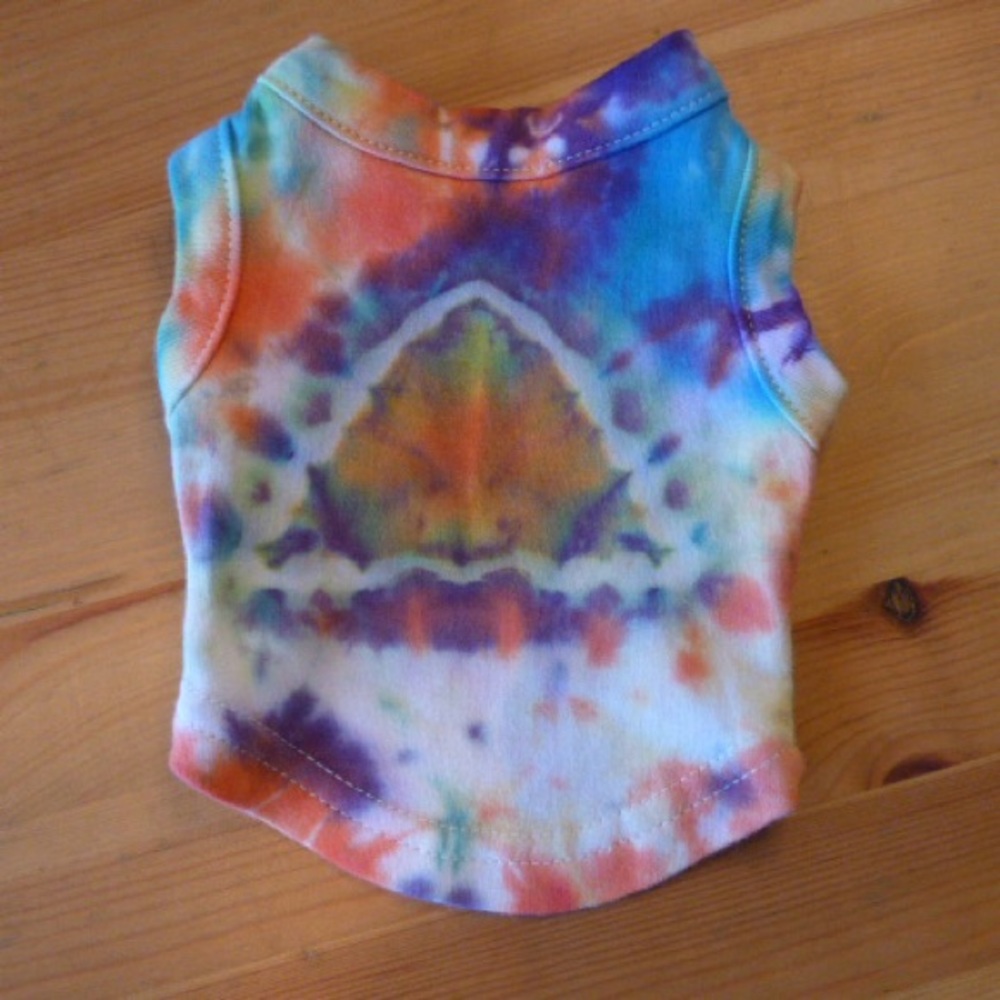 Tie-Dye Rainbow Doggie T